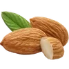 🌰