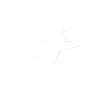 ⭐