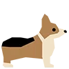 🐶