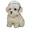 🐶