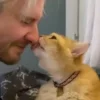 😽