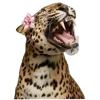 🐯