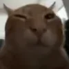 😉