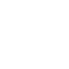 🪽