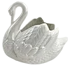 🦢