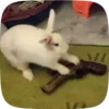 🔫