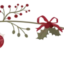 🎅