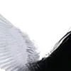 ⭐