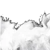 ⭐