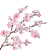 🌸