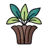 🌱