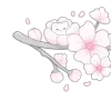🌸