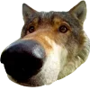 🐺