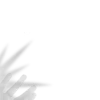 🪽