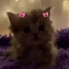 🎀