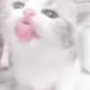 👅