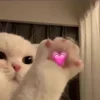 💕