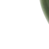 🌿