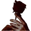 🌹