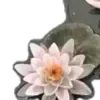 😀