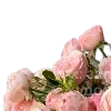 🌸