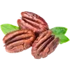 🌰