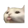 😛