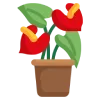 🌺