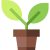 🎋