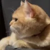 😕