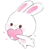 🐰