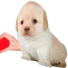 😍