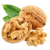 🌰