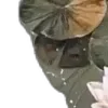 😀