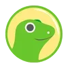 🦎