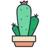 🌵