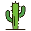 🌵