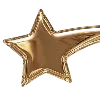 🌟