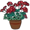 💐
