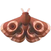 🦋