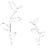 🌱