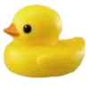 🐥