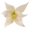 🌺