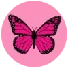 🦋