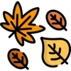 🍂