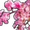🌸