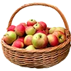 🍎