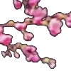 🌸