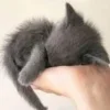 😴