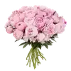 🌸